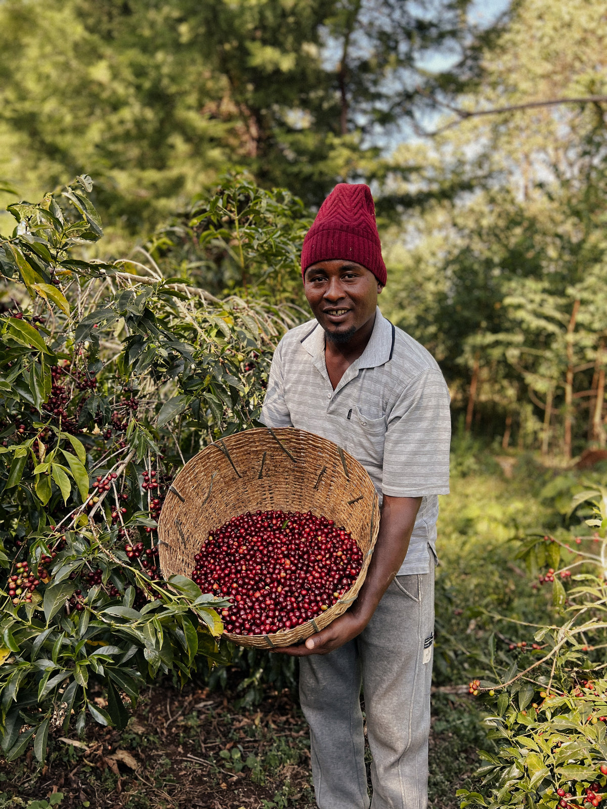 Ethiopia Desta Ware