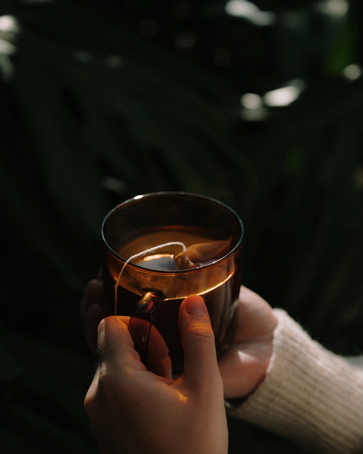 Single Serve